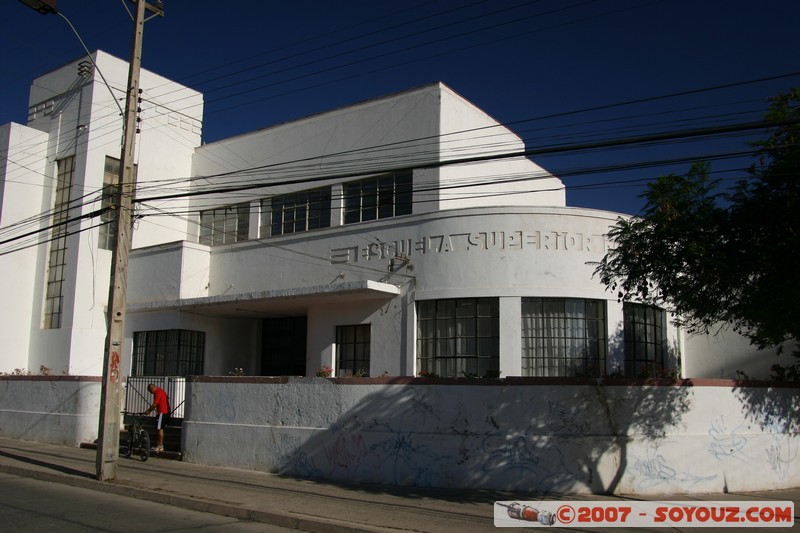 Vicuna - Escuela Superior
