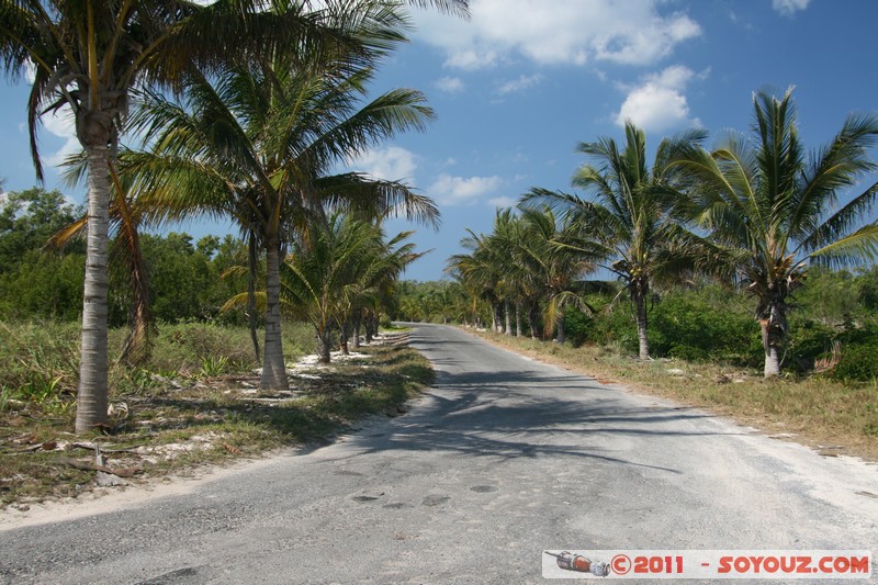 Cayo Jutias
Mots-clés: CUB Cuba geo:lat=22.71369925 geo:lon=-84.02480122 geotagged Pinar del RÃ­o Sitio Abajo Palmier