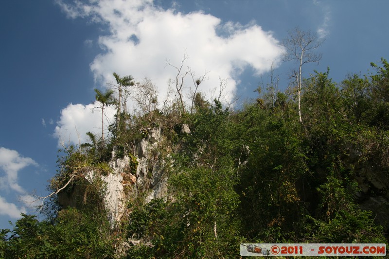 Valle de Vinales - Valle de Ancon
Mots-clés: CUB Cuba Ensenada de las Casas geo:lat=22.65693091 geo:lon=-83.74825440 geotagged Pinar del RÃ­o patrimoine unesco