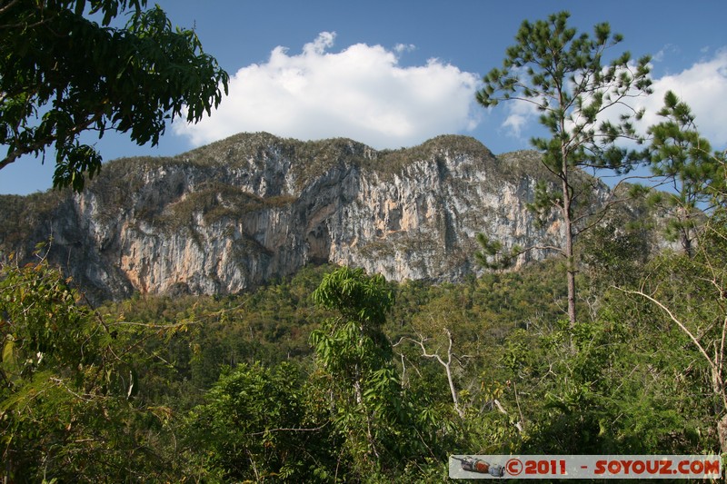 Valle de Vinales - Valle de Ancon
Mots-clés: BaÃ±os de San Vicente CUB Cuba geo:lat=22.67827556 geo:lon=-83.72177635 geotagged Pinar del RÃ­o Montagne patrimoine unesco