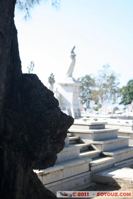 Cienfuegos - Cementerio Tomas Acea
Mots-clés: Cienfuegos CUB Cuba geo:lat=22.13600577 geo:lon=-80.42376722 geotagged Tejar la Palma cimetiere