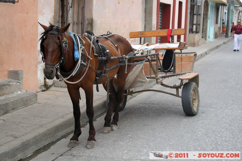 Camaguey - Caballo y el carro
Mots-clés: CUB Cuba geo:lat=21.37971049 geo:lon=-77.92145963 geotagged animals cheval