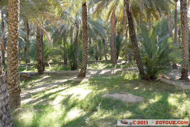 Al Ain Oasis
Mots-clés: geo:lat=24.21753951 geo:lon=55.77280090 mirats Arabes Unis UAE United Arab Emirates Parc Palmier Arbres Al-Ain Oasis