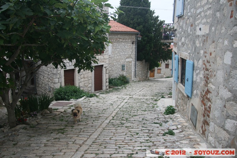 Rovinj
Mots-clés: Croatie geo:lat=45.08303206 geo:lon=13.63131324 geotagged HRV Istarska Rovinj medieval