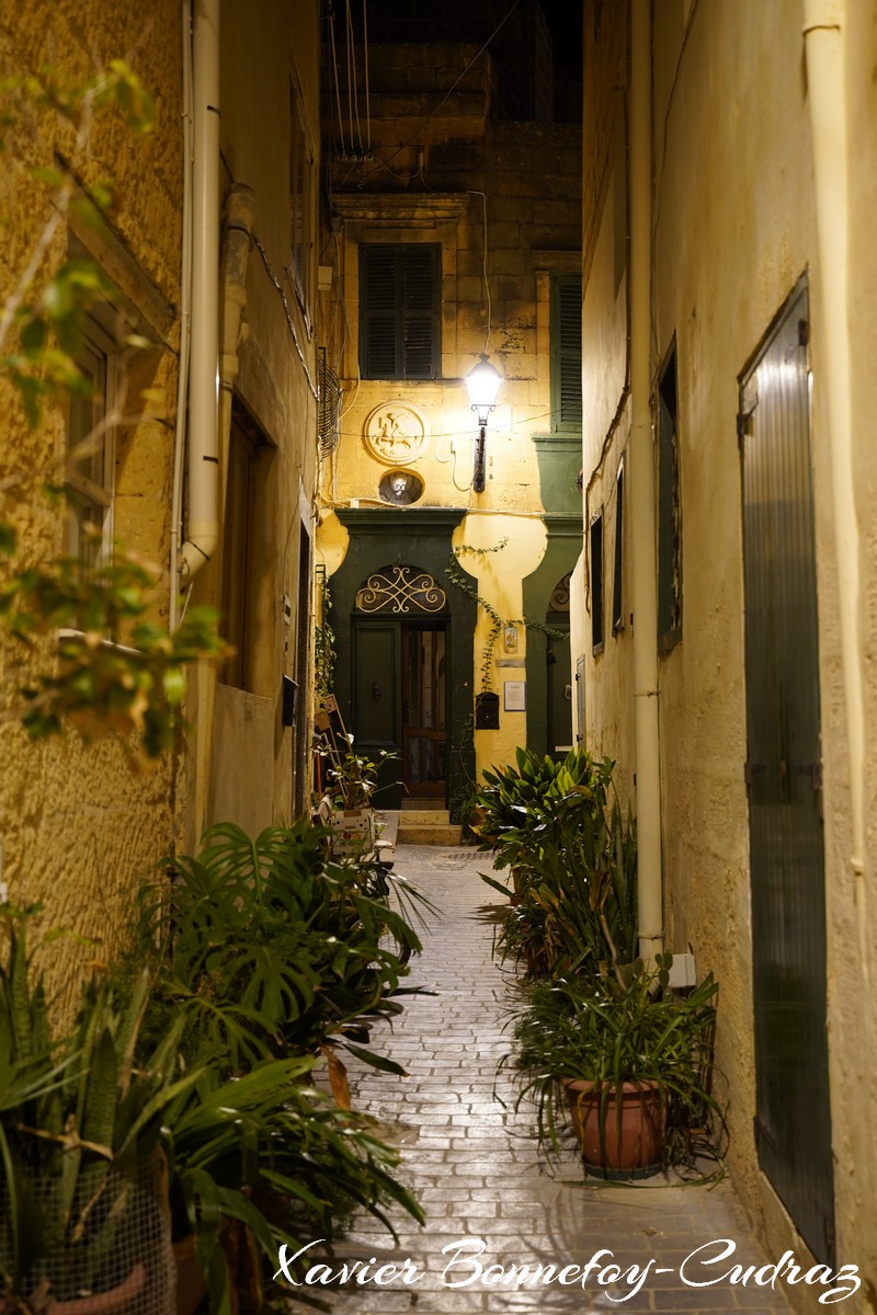 Gozo - Rabat (Victoria) by Night
Mots-clés: geo:lat=36.04358076 geo:lon=14.23917443 geotagged Malte MLT Victoria Malta Gozo Rabat Nuit