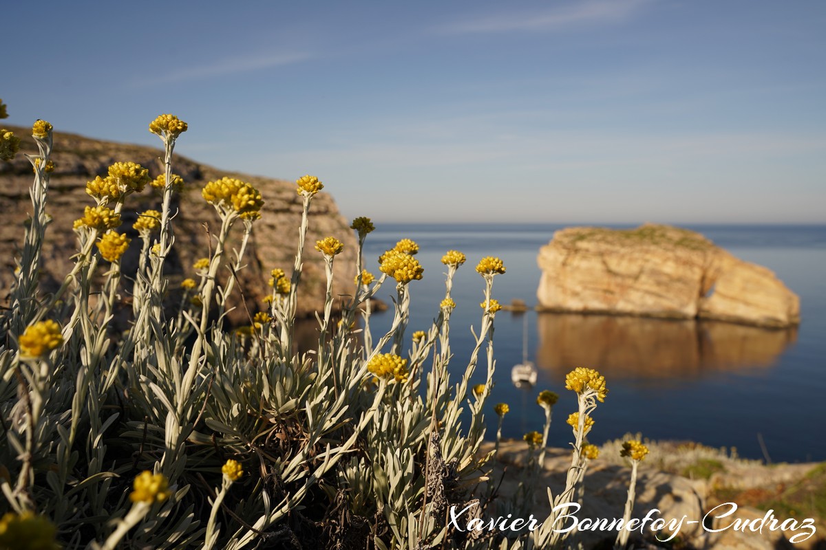 Gozo - Dwejra Bay and Fungus Rock
Mots-clés: Dwejra geo:lat=36.04862187 geo:lon=14.19220626 geotagged Malte MLT Saint Lawrence San Lawrenz Malta Gozo paysage Fungus Rock Mer Dwejra Bay fleur