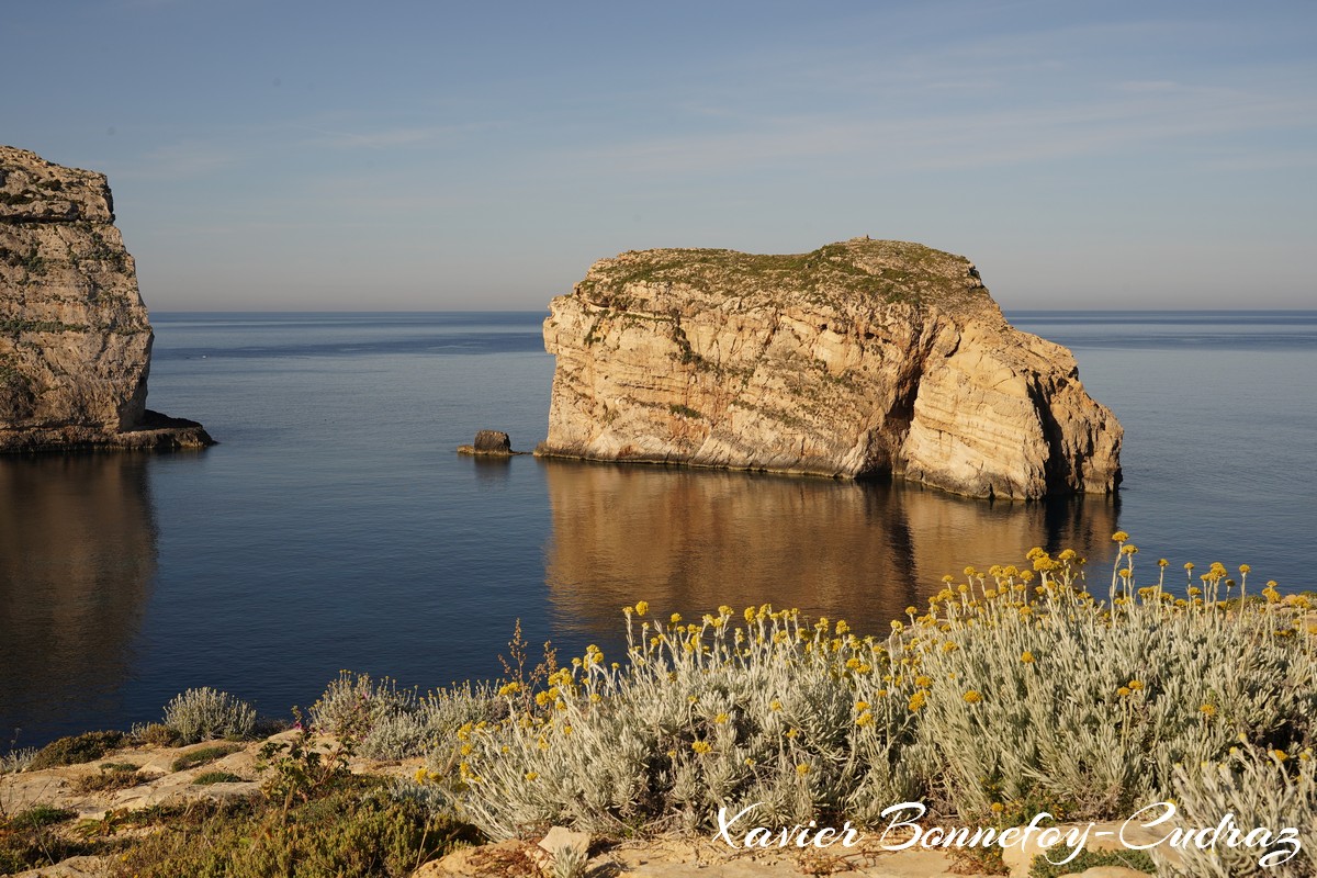 Gozo - Dwejra Bay and Fungus Rock
Mots-clés: Dwejra geo:lat=36.04870861 geo:lon=14.19121921 geotagged Malte MLT Saint Lawrence San Lawrenz Malta Gozo paysage Fungus Rock Mer Dwejra Bay