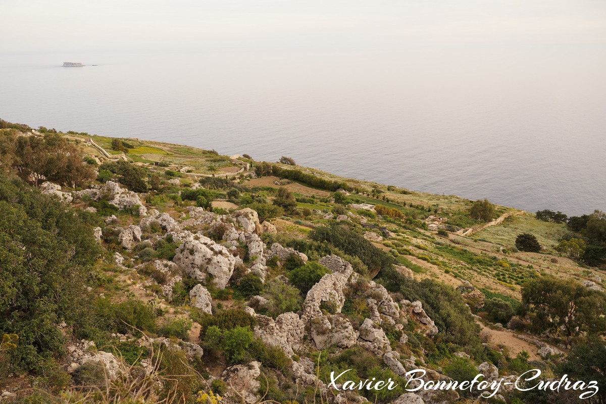 Dingli Cliffs
Mots-clés: Dingli geo:lat=35.85325809 geo:lon=14.38001186 geotagged Malte MLT Tal-Veċċa Malta Southern Region Dingli Cliffs paysage