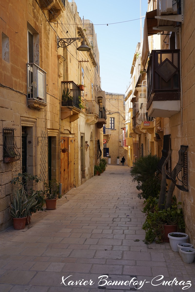 The Three Cities - Birgu
Mots-clés: Birgu Cospicua geo:lat=35.88784786 geo:lon=14.52425770 geotagged Il-Birgu Malte MLT Malta The Three Cities Southern Region