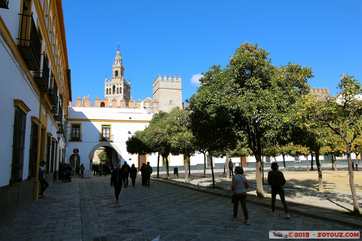 Sevilla - Real Alcazar - Patio de Banderas
Mots-clés: Andalucia ESP Espagne Sevilla Triana Real Alcazar chateau patrimoine unesco Patio de Banderas