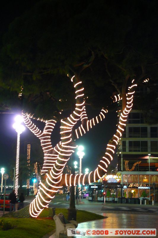 Nice by Night - Jardins Albert 1er
Mots-clés: Nuit sculpture