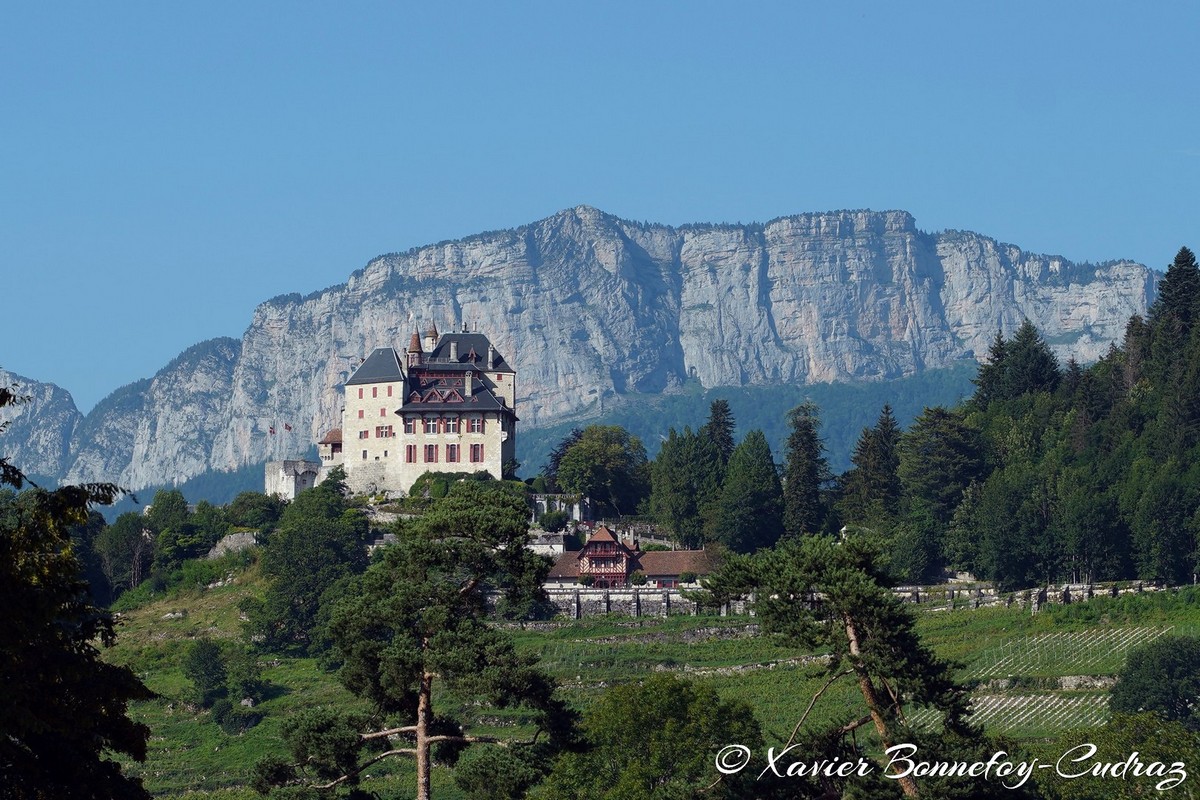 Menthon-Saint-Bernard
Mots-clés: FRA France geo:lat=45.85829201 geo:lon=6.19702647 geotagged Menthon-Saint-Bernard Haute-Savoie chateau
