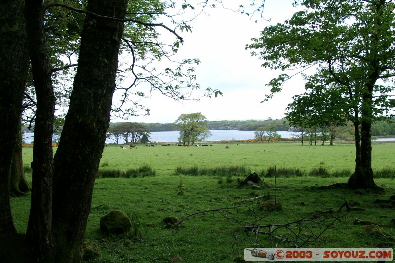 Killarney National Park - Lough Leane
