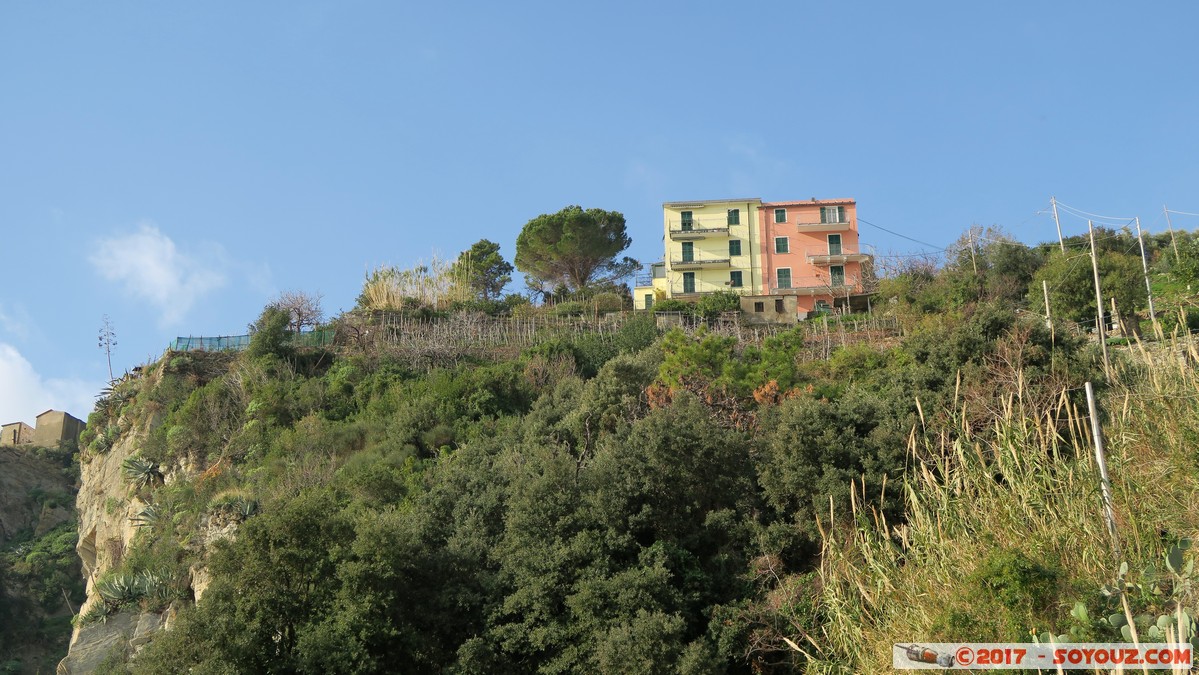 Cinque Terre - Corniglia
Mots-clés: Corniglia ITA Italie Liguria Parco Nazionale delle Cinque Terre patrimoine unesco