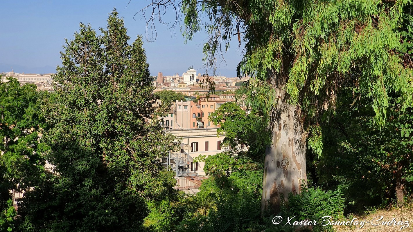 Roma
Mots-clés: Italie Lazio Trastevere Orto Botanico Parc