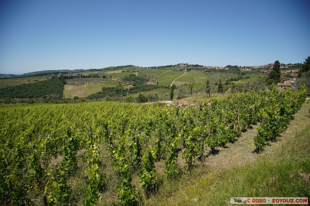 Toscana - Campagna del Chianti
Mots-clés: Toscana Chianti paysage vignes