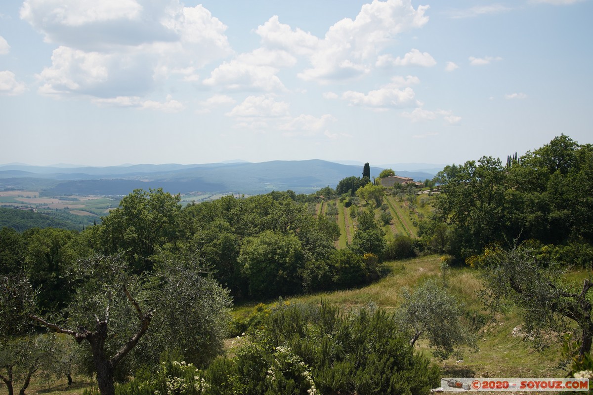 Campagna toscana
Mots-clés: Toscana plante Arbres paysage ITA Italie