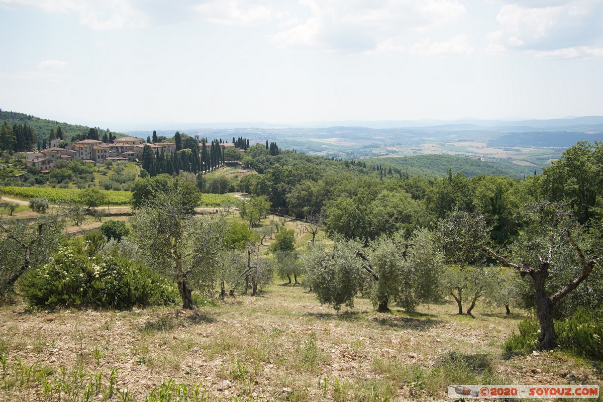 Campagna toscana
Mots-clés: Toscana plante Arbres paysage ITA Italie