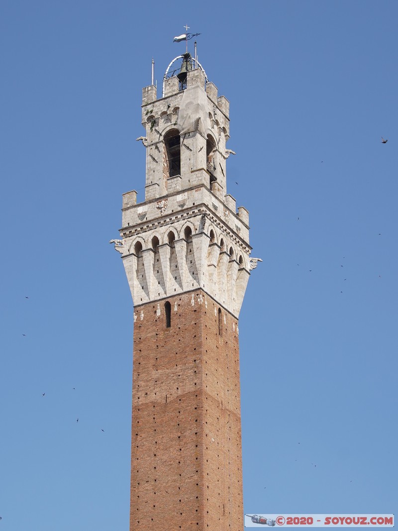 Siena - Piazza del Campo - Torre del Mangia
Mots-clés: geo:lat=43.31856585 geo:lon=11.33157056 geotagged ITA Italie Siena Toscana patrimoine unesco Piazza del Campo Torre del Mangia