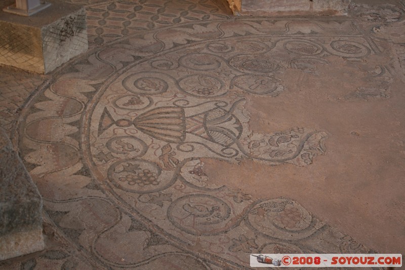 Ohrid - Plaosnik - ruines romaines
Mots-clés: patrimoine unesco Ruines Romain Mosaique