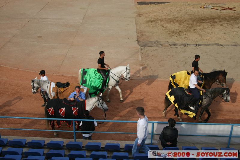 Brasov - Stadium
Mots-clés: animals sport cheval