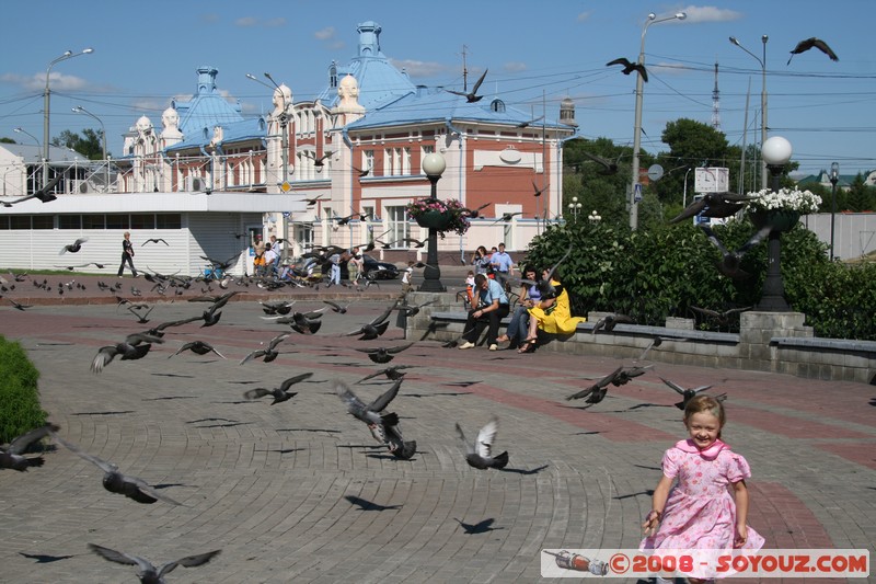Tomsk - Place Lenine
Mots-clés: animals oiseau pigeon