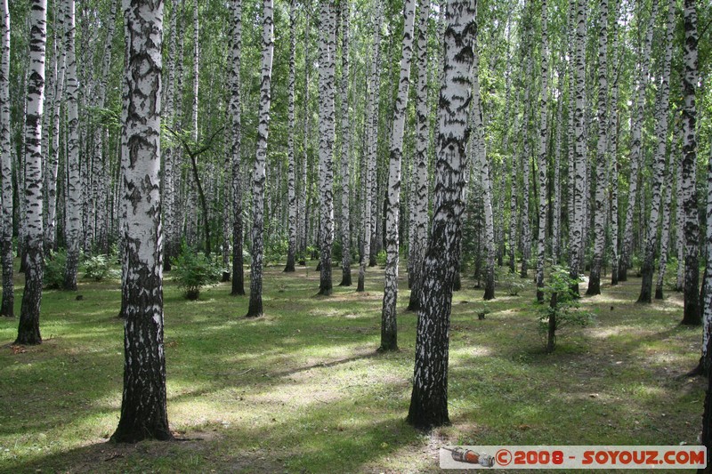 Tomsk - Jardins Laguerny
