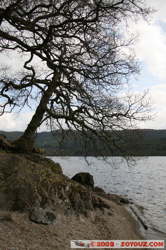 The Trossachs - Loch Venachar
A821, Stirling FK17 8, UK
Mots-clés: Lac