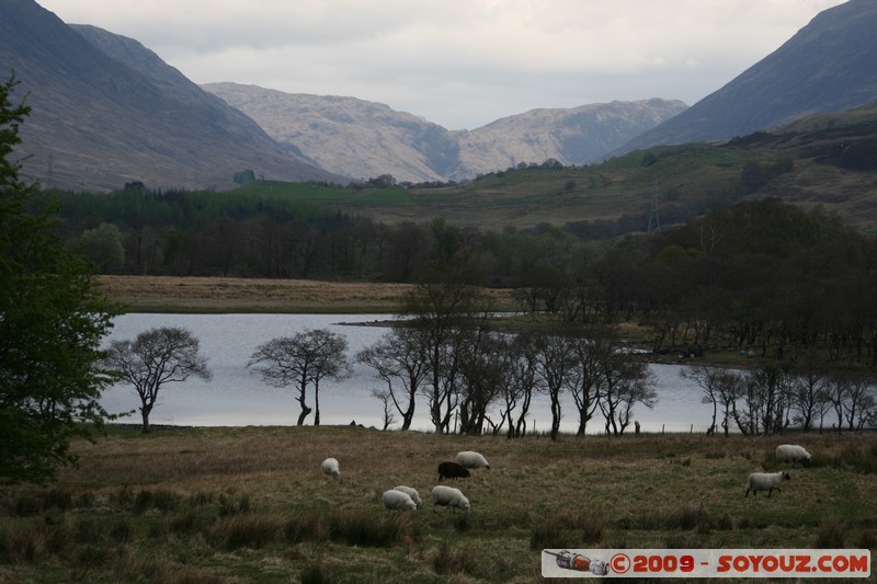 Argyll and Bute - Loch Awe
A819, Argyll and Bute PA32 8, UK
Mots-clés: Lac