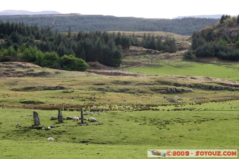 Mull - Glengorm - Standing Stones and sheep
Croig, Argyll and Bute, Scotland, United Kingdom
Mots-clés: Megalithique prehistorique animals Mouton