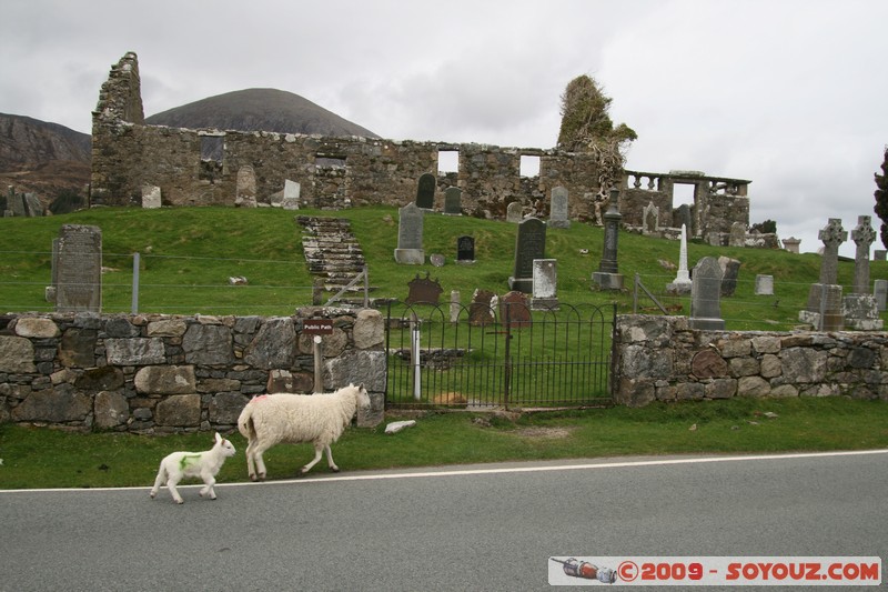 Skye - Old Ruined Church
B8083, Highland IV49 9, UK
Mots-clés: Eglise cimetiere Ruines animals Mouton