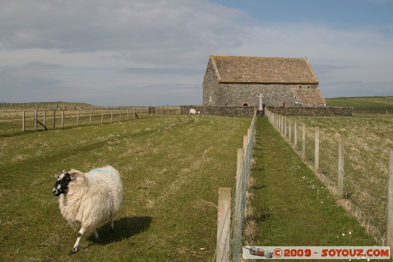 Hebridean Islands - Lewis - Eoropie - St Moluag's Church
B8014, Eilean Siar HS2 0, UK
Mots-clés: Eglise animals Mouton