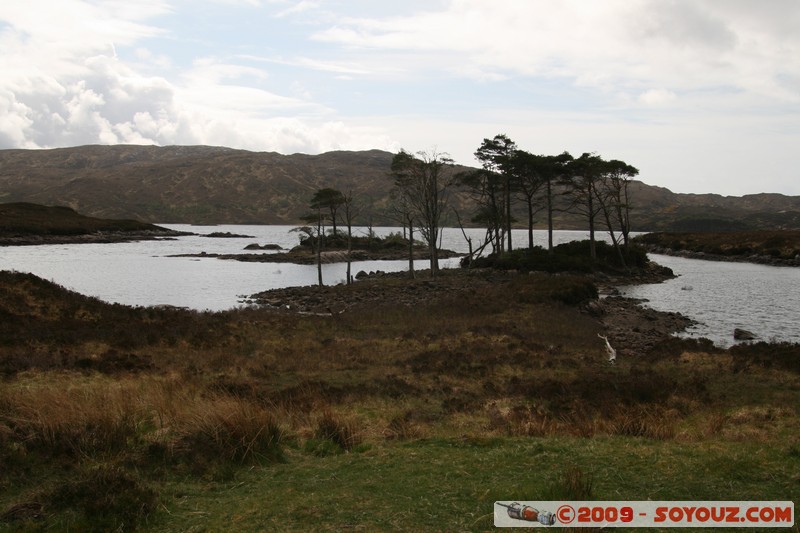 Highland - Loch Assynt
Inchnadamph, Highland, Scotland, United Kingdom
Mots-clés: paysage Lac