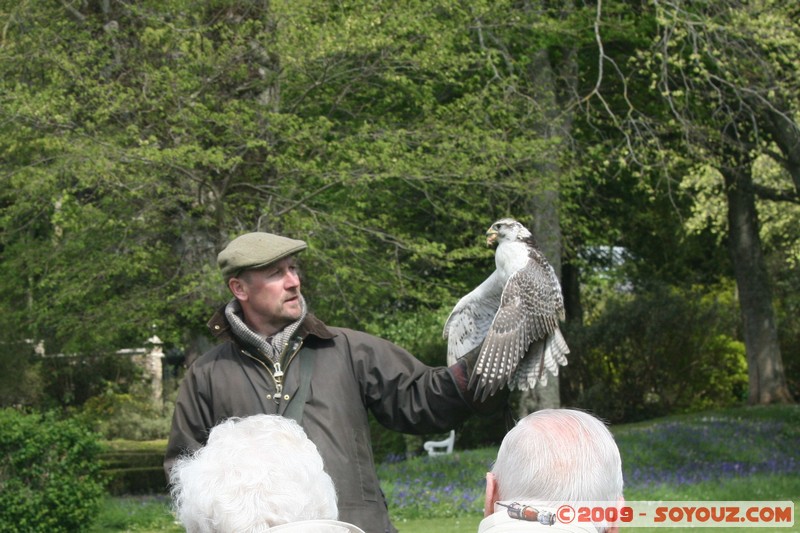 Highland - Dunrobin Castle - Birds of prey demonstration
Mots-clés: animals oiseau