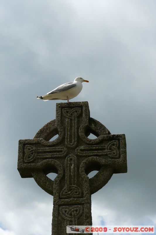 Looe - Seagull on the Cross
Looe, Cornwall, England, United Kingdom
Mots-clés: animals oiseau Goeland Eglise
