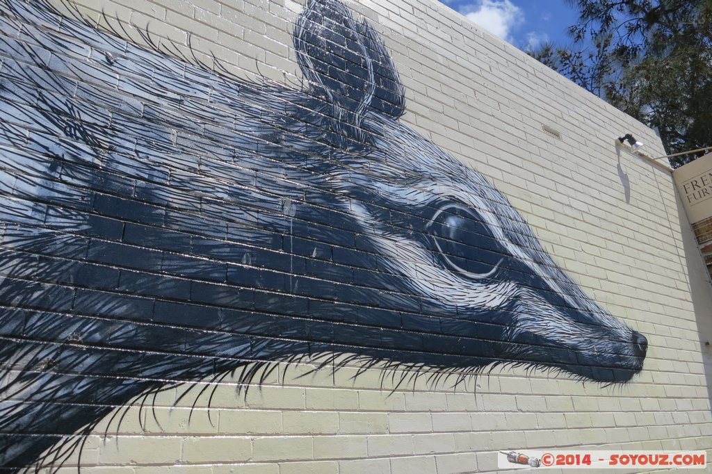 Fremantle - Street art
Mots-clés: AUS Australie Fremantle Fremantle City geo:lat=-32.05519482 geo:lon=115.74891686 geotagged Western Australia peinture