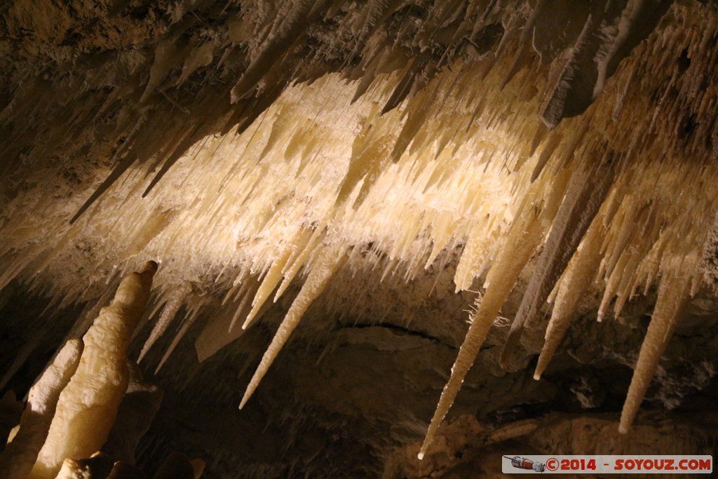 Margaret River - Jewel Cave
Mots-clés: AUS Australie geo:lat=-34.27395907 geo:lon=115.09821763 geotagged Leeuwin Western Australia Margaret River Jewel Cave Deepdene grotte