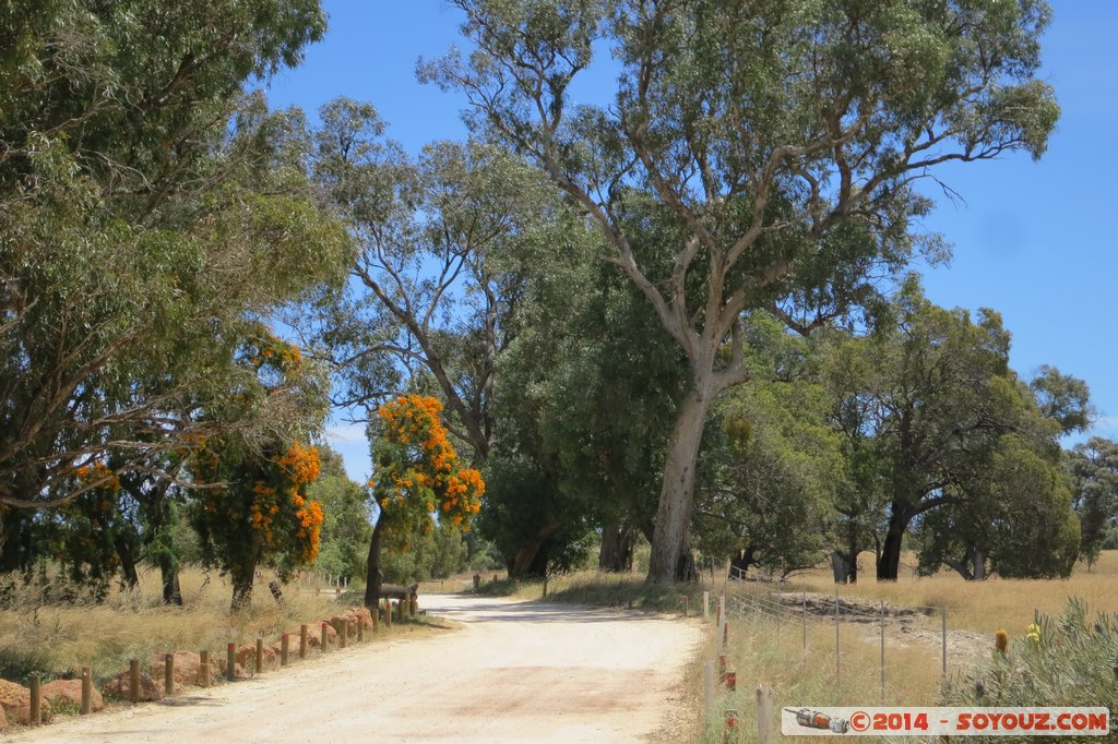 Indian Ocean Drive - Road Perth-Cervantes
Mots-clés: AUS Australie Gabbadah geo:lat=-31.30341747 geo:lon=115.55522724 geotagged Sovereign Hill Western Australia
