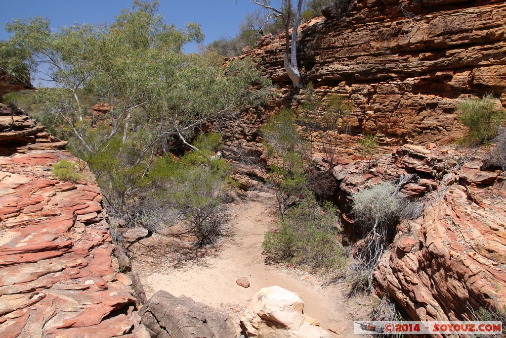 Kalbarri National Park - Z Bend
Mots-clés: AUS Australie geo:lat=-27.65428800 geo:lon=114.45422813 geotagged Kalbarri Western Australia Parc national Z Bend