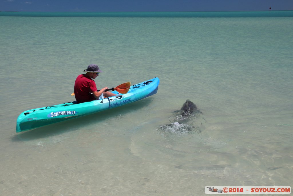 Shark Bay - Monkey Mia - Dolphin
Mots-clés: AUS Australie geo:lat=-25.79297200 geo:lon=113.71671800 geotagged Monkey Mia State of Western Australia Western Australia animals Dauphin patrimoine unesco bateau