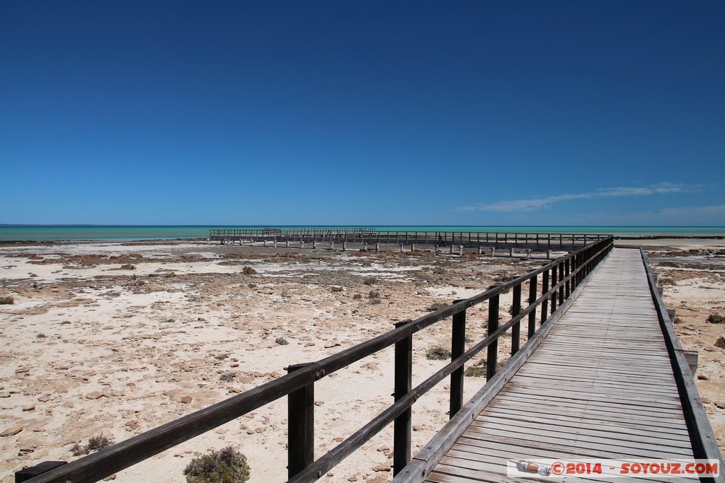 Shark Bay - Hamelin Pool - Stromatolites
Mots-clés: AUS Australie geo:lat=-26.40073879 geo:lon=114.15992743 geotagged Gladstone Western Australia Shark Bay patrimoine unesco Hamelin Pool Stromatolites Pont