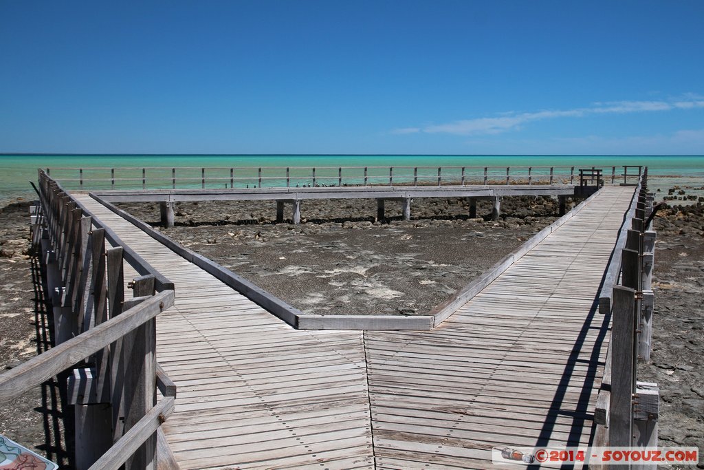 Shark Bay - Hamelin Pool - Stromatolites
Mots-clés: AUS Australie geo:lat=-26.40052336 geo:lon=114.15893664 geotagged Gladstone Western Australia Shark Bay patrimoine unesco Hamelin Pool Stromatolites Pont mer