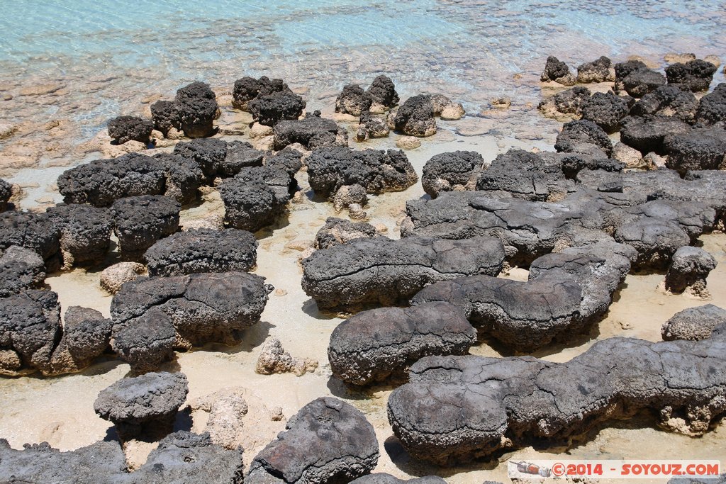 Shark Bay - Hamelin Pool - Stromatolites
Mots-clés: AUS Australie geo:lat=-26.40032933 geo:lon=114.15892700 geotagged Gladstone State of Western Australia Western Australia Shark Bay patrimoine unesco Hamelin Pool Stromatolites
