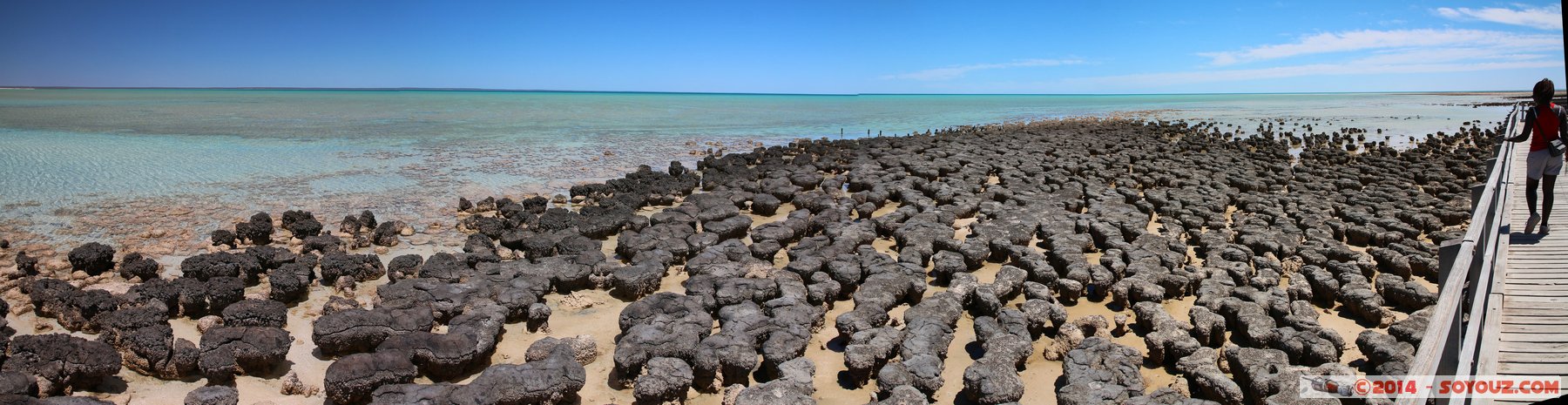 Shark Bay - Hamelin Pool - Stromatolites
Stitched Panorama
Mots-clés: AUS Australie geo:lat=-26.40032367 geo:lon=114.15893000 geotagged Gladstone State of Western Australia Western Australia Shark Bay patrimoine unesco Hamelin Pool Stromatolites mer
