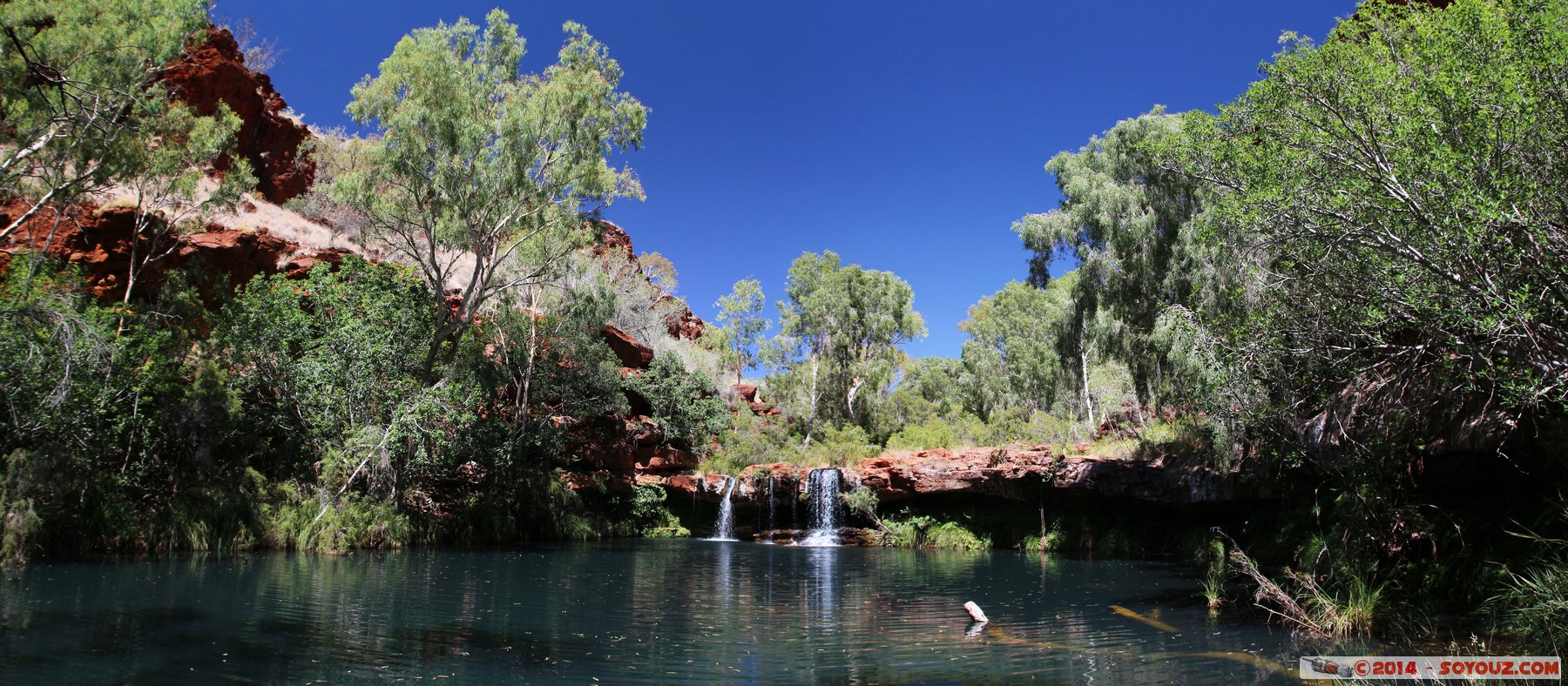 Karijini National Park - Dales Gorges - Fern Pool - Panorama
Stitched Panorama
Mots-clés: AUS Australie geo:lat=-22.47751624 geo:lon=118.54805410 geotagged Wittenoom Western Australia Karijini National Park Karijini Dales Gorges Fern Pool Lac Arbres panorama