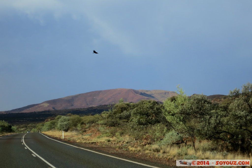 Paraburdoo Road
Mots-clés: AUS Australie geo:lat=-23.02283100 geo:lon=117.89299950 geotagged Paraburdoo State of Western Australia Route Paraburdoo Road Montagne