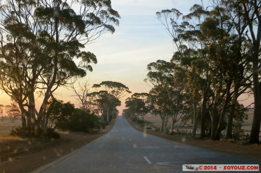 Great Northern Highway - Sunset
Mots-clés: AUS Australie geo:lat=-30.46439000 geo:lon=116.41215000 geotagged Miling Western Australia Route sunset