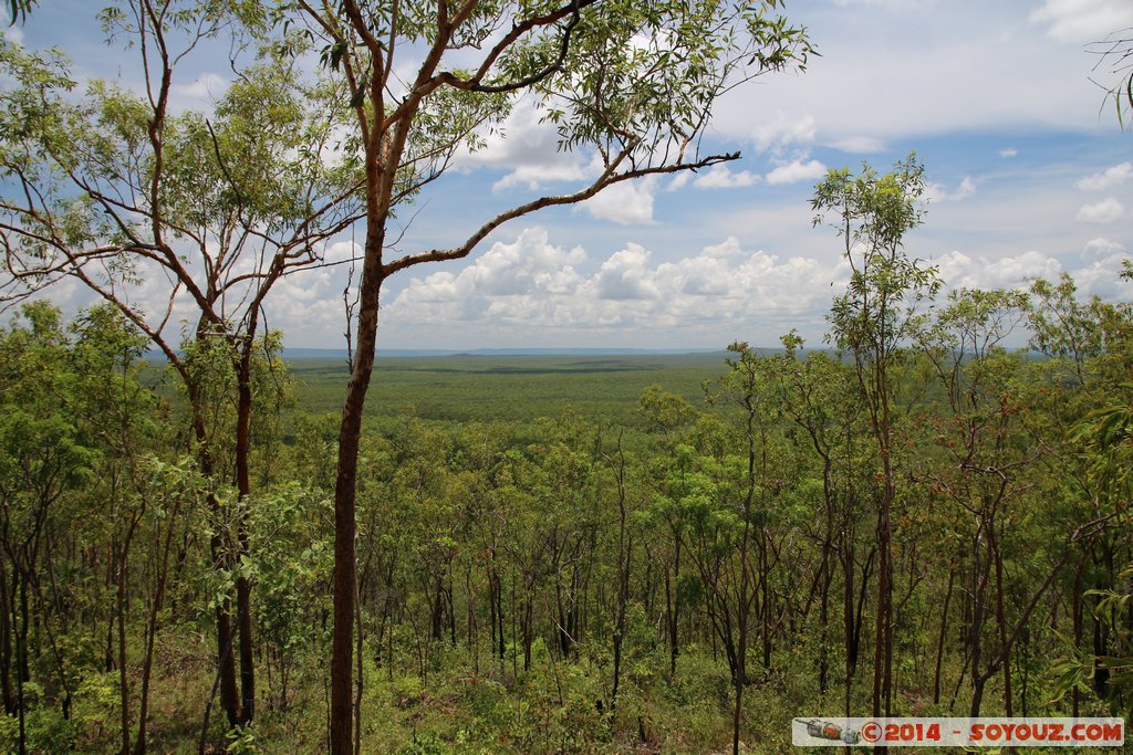 Kakadu National Park - Mirrai Lookout
Mots-clés: AUS Australie geo:lat=-12.86490929 geo:lon=132.70477141 geotagged Kakadu Northern Territory Kakadu National Park patrimoine unesco Nourlangie Mirrai Lookout