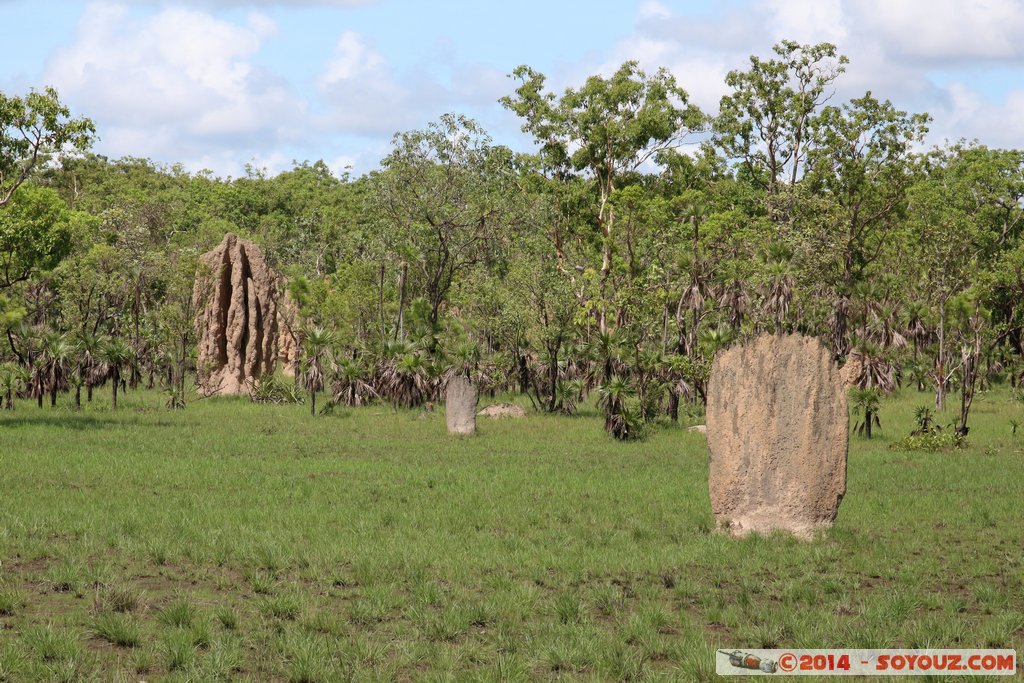 Litchfield National Park - Magnetic Termite Mounds
Mots-clés: AUS Australie geo:lat=-13.10288846 geo:lon=130.84429639 geotagged Northern Territory Litchfield National Park Magnetic Termite Mounds