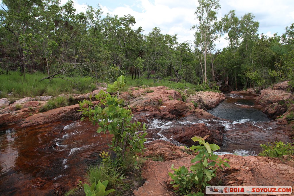 Litchfield National Park - Buley Rochole
Mots-clés: AUS Australie geo:lat=-13.11270434 geo:lon=130.78679451 geotagged Northern Territory Litchfield National Park Buley Rochole